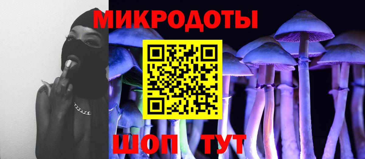 Галлюциногенные грибы Psilocybine cubensis Дедовск